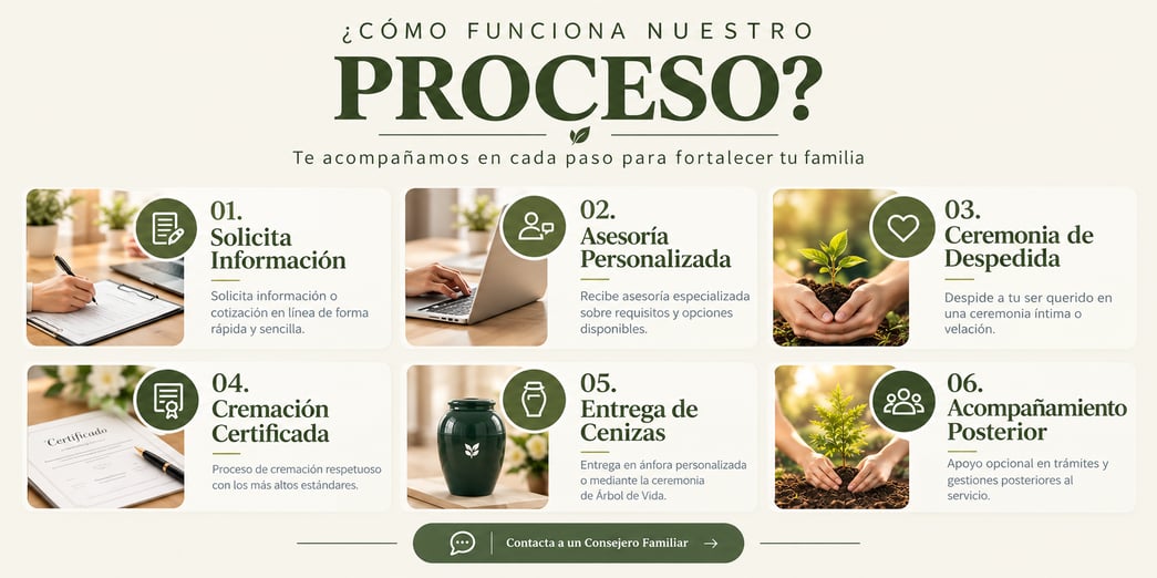Proceso de Despedida y Acompañamiento